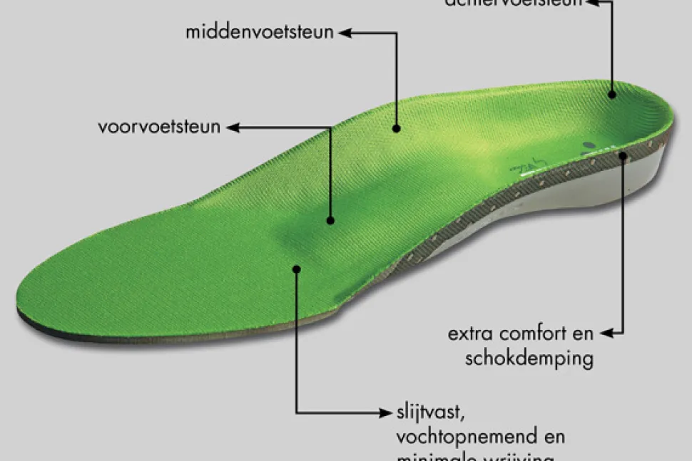 Mysole Special Anatomical inleg zool