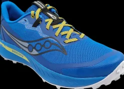 Saucony Peregrine 15 skydiver/ pickle